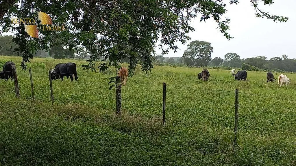 Fazenda à venda de 514 ha em Cuiabá, MT, Brasil