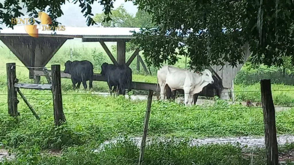 Fazenda à venda de 514 ha em Cuiabá, MT, Brasil