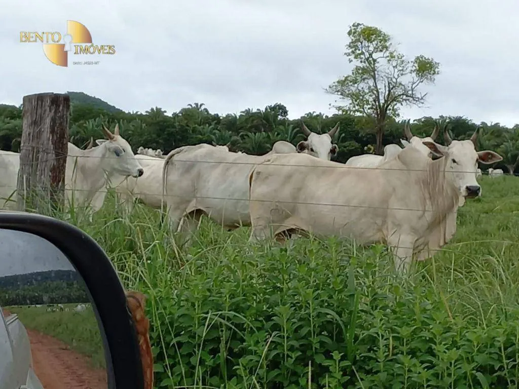 Fazenda à venda de 514 ha em Cuiabá, MT, Brasil