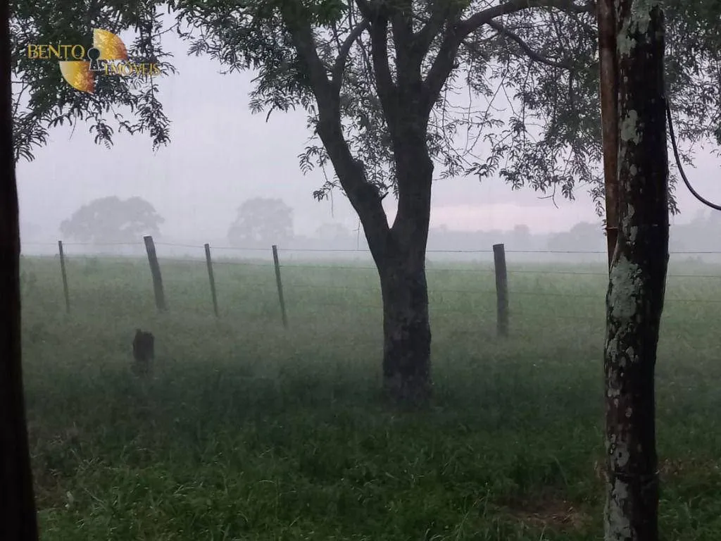Fazenda à venda de 514 ha em Cuiabá, MT, Brasil
