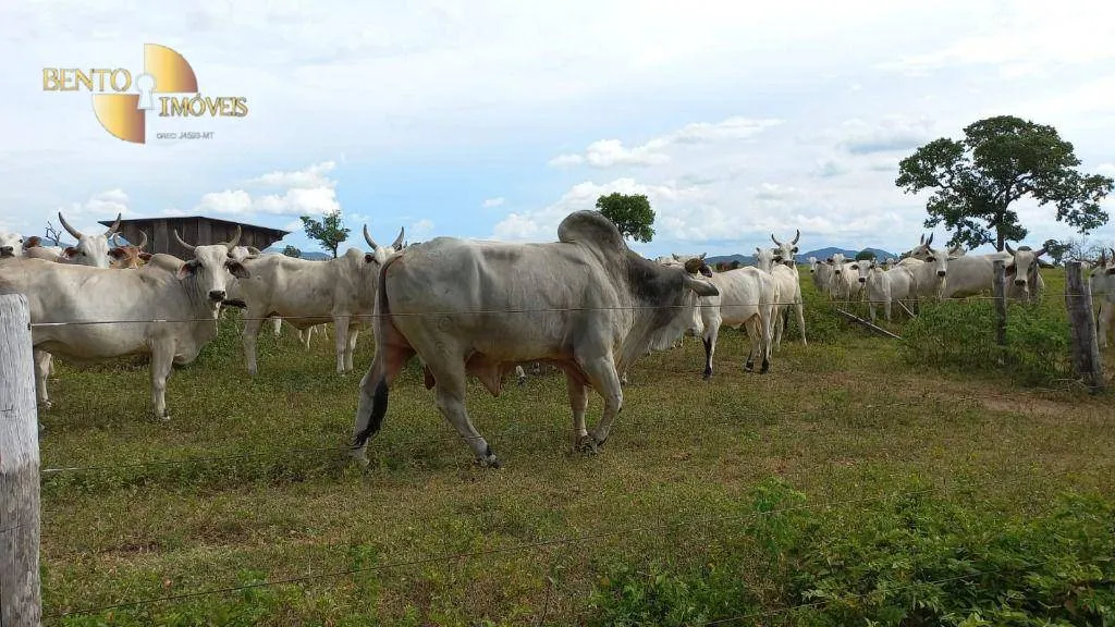 Fazenda à venda de 514 ha em Cuiabá, MT, Brasil