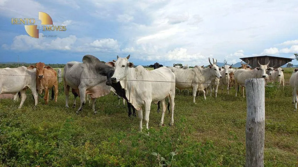 Fazenda à venda de 514 ha em Cuiabá, MT, Brasil