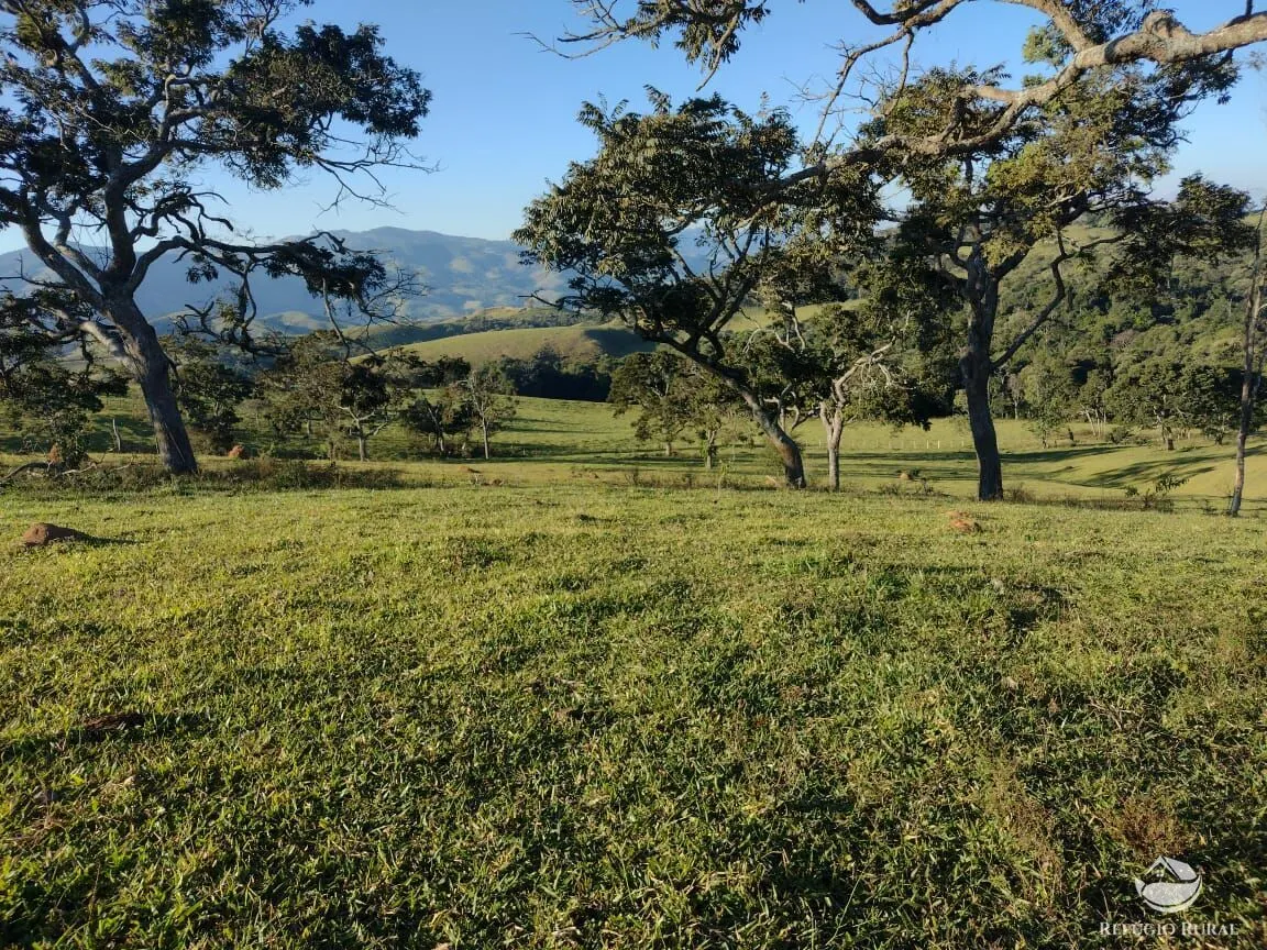 Fazenda à venda de 188 ha em Ouro Fino, MG, Brasil