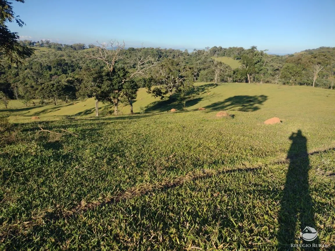 Fazenda à venda de 188 ha em Ouro Fino, MG, Brasil