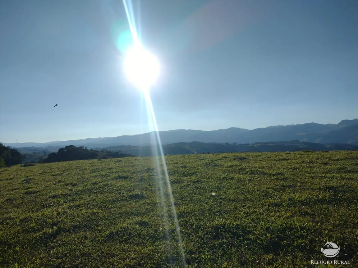 Fazenda à venda de 188 ha em Ouro Fino, MG, Brasil