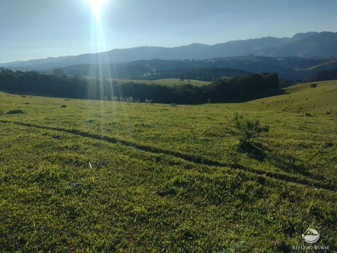 Fazenda à venda de 188 ha em Ouro Fino, MG, Brasil