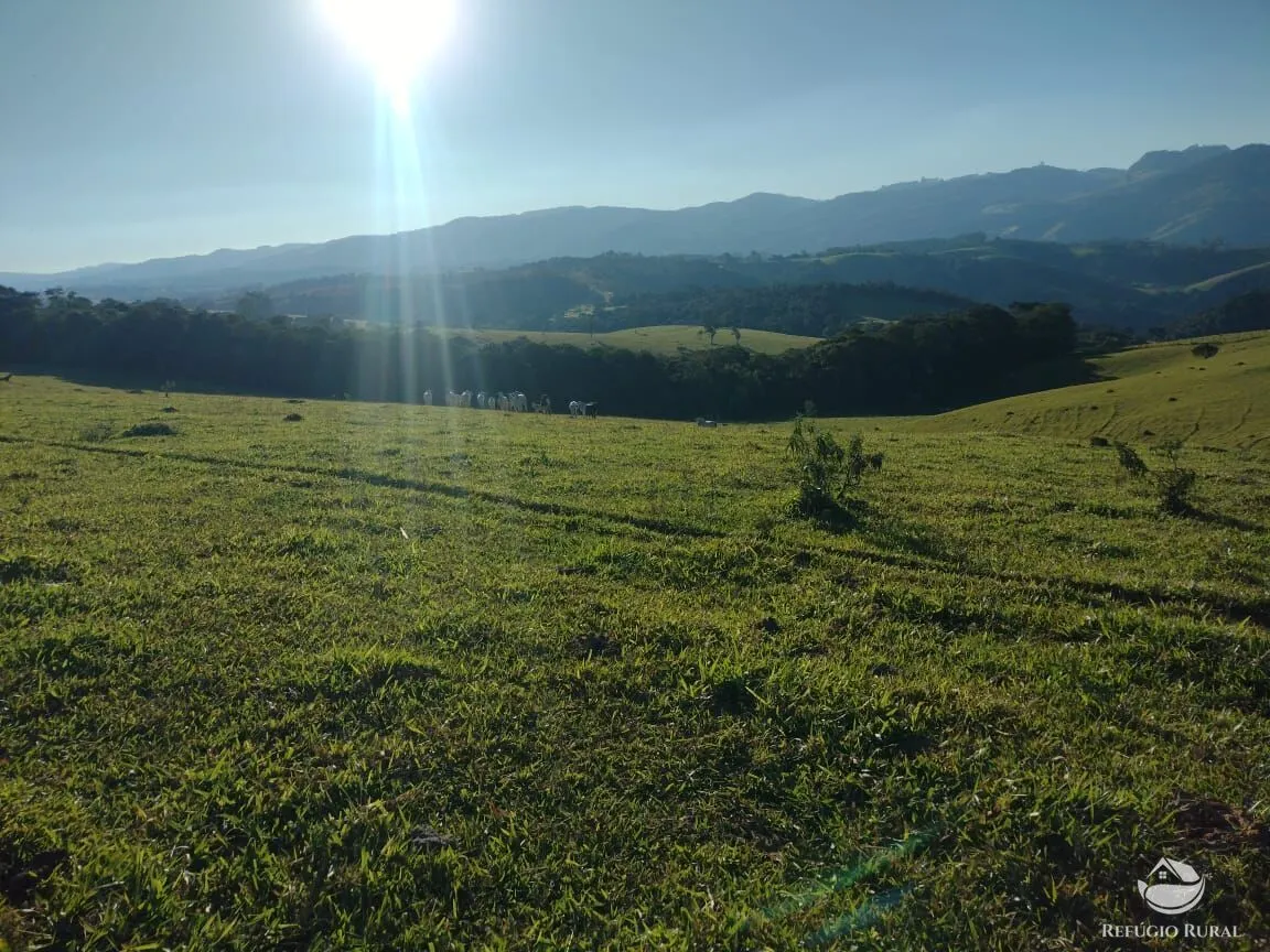 Fazenda à venda de 188 ha em Ouro Fino, MG, Brasil