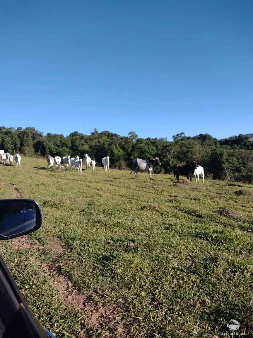 Fazenda à venda de 188 ha em Ouro Fino, MG, Brasil
