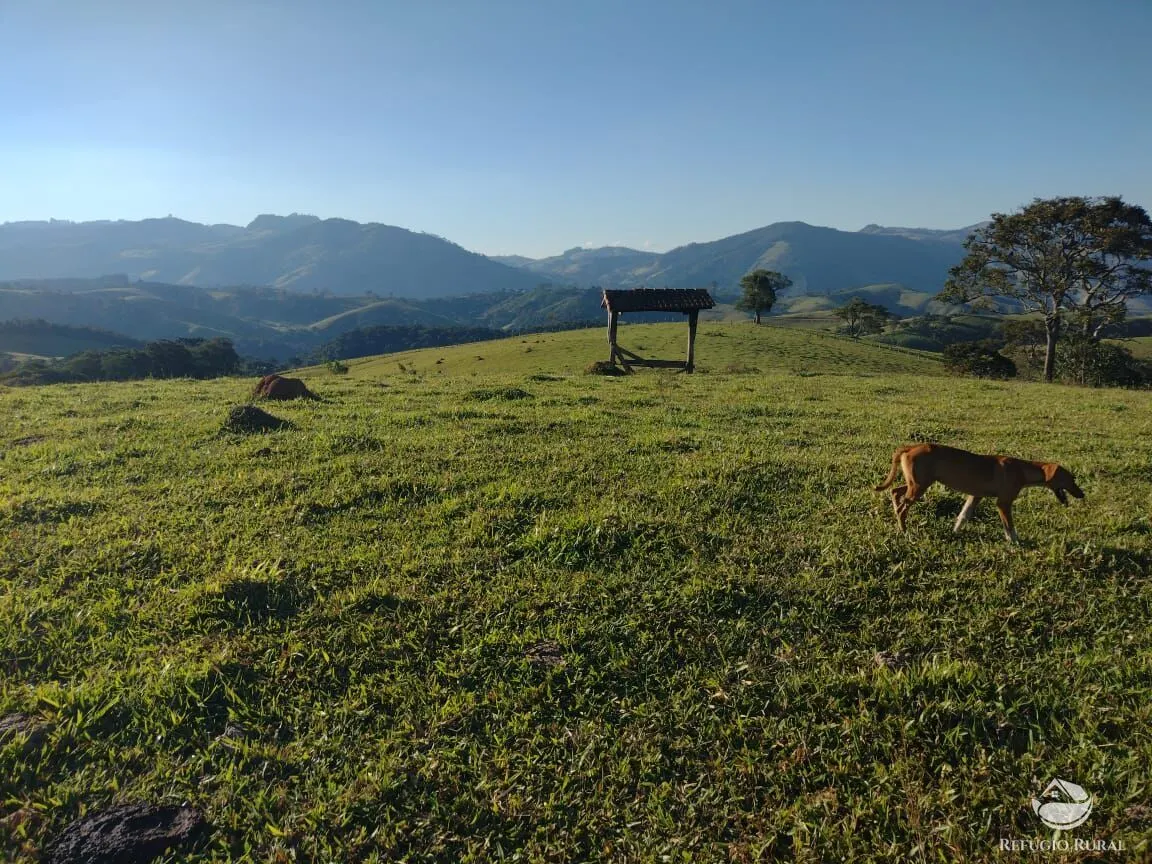 Fazenda à venda de 188 ha em Ouro Fino, MG, Brasil