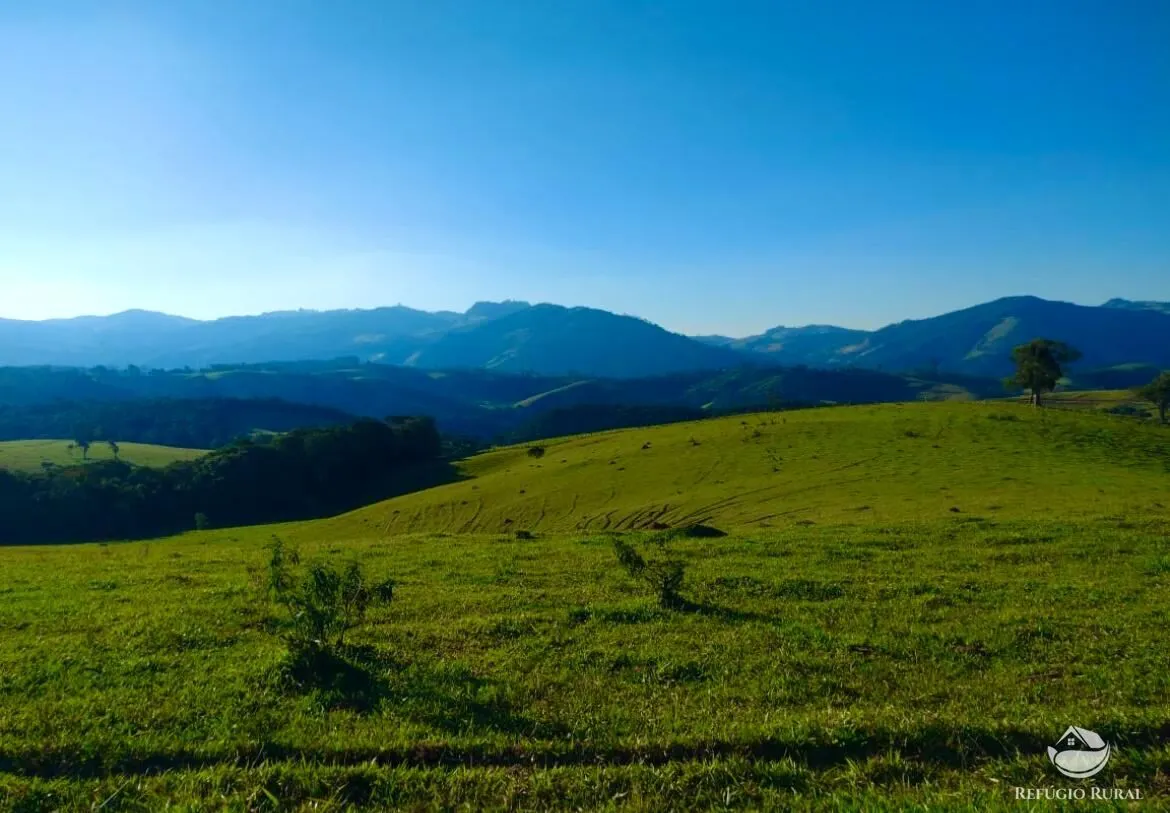 Fazenda à venda de 188 ha em Ouro Fino, MG, Brasil