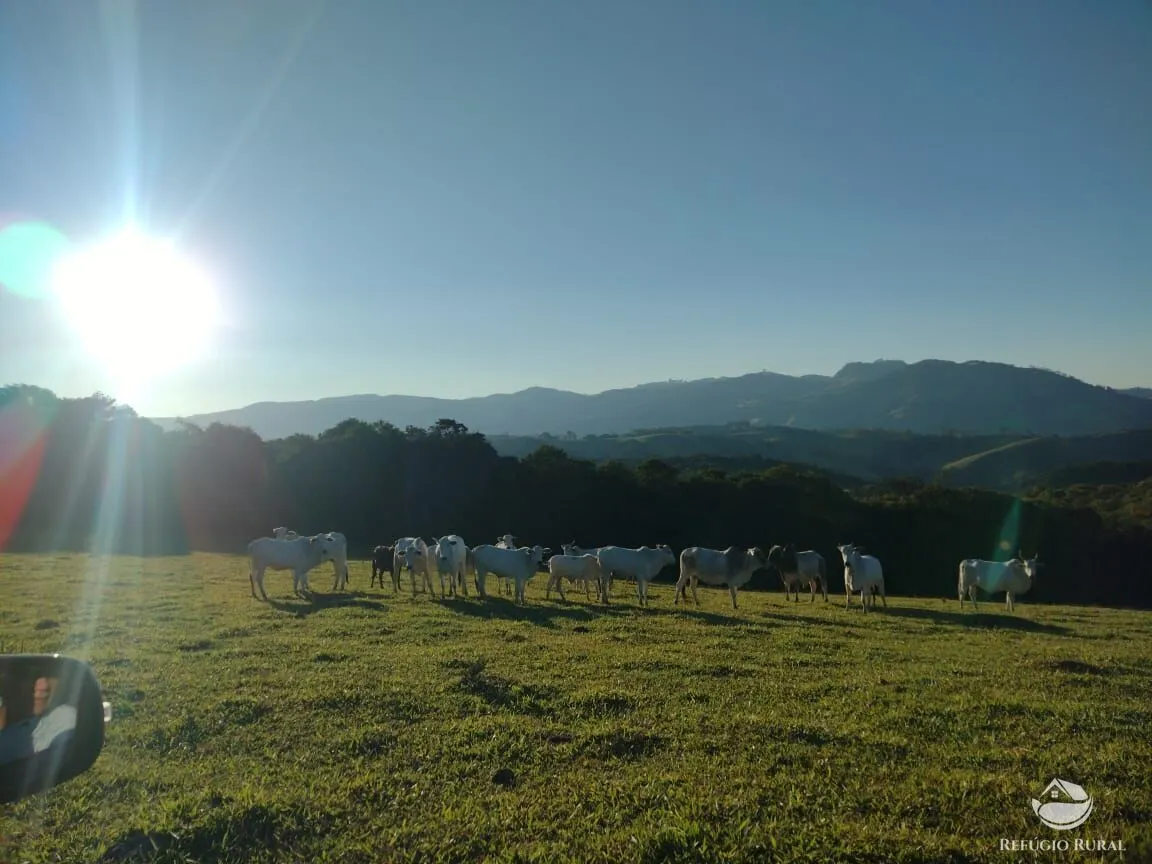Fazenda à venda de 188 ha em Ouro Fino, MG, Brasil
