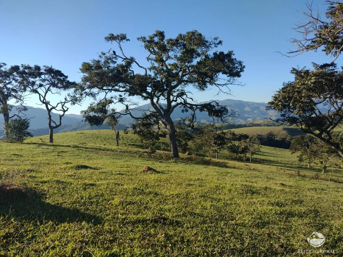 Fazenda à venda de 188 ha em Ouro Fino, MG, Brasil