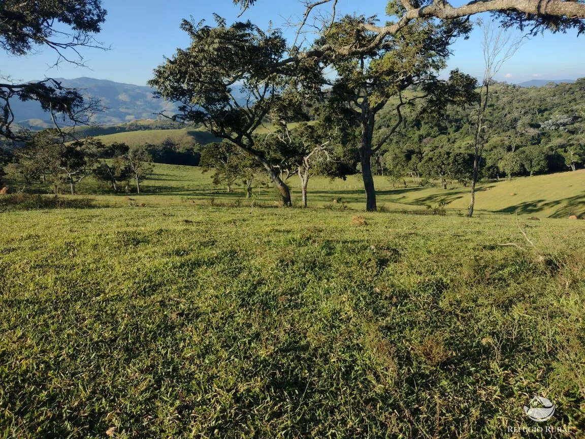 Fazenda à venda de 188 ha em Ouro Fino, MG, Brasil