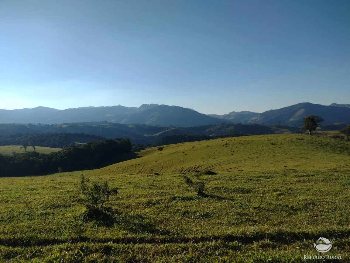 Fazenda à venda de 188 ha em Ouro Fino, MG, Brasil