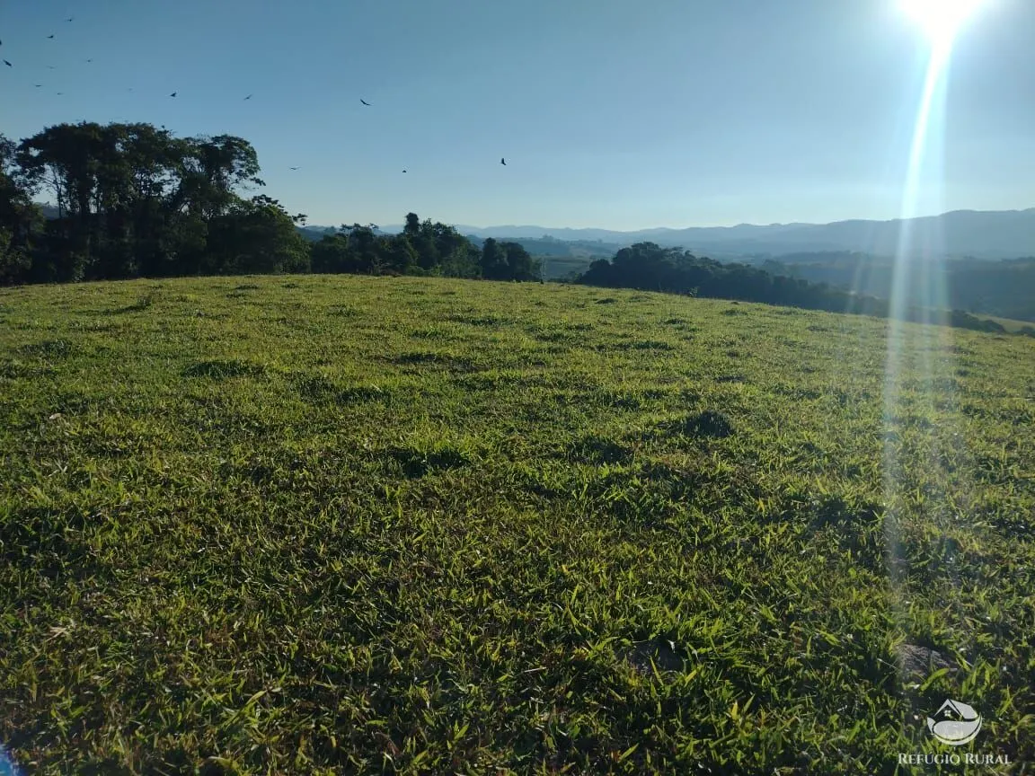Fazenda à venda de 188 ha em Ouro Fino, MG, Brasil
