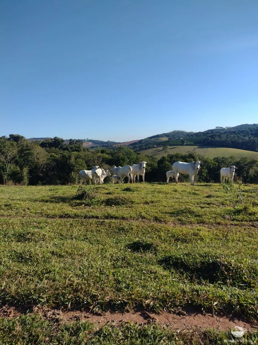 Fazenda à venda de 188 ha em Ouro Fino, MG, Brasil