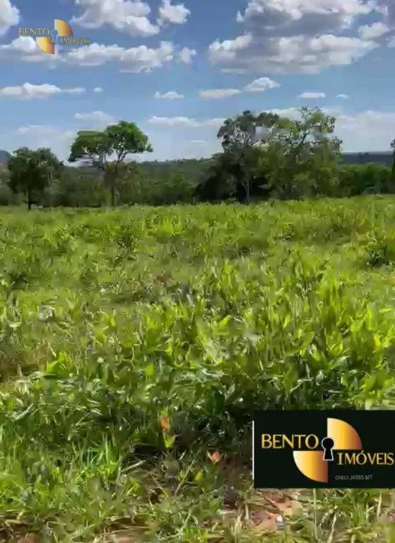 Fazenda à venda de 900 ha em Guiratinga, MT, Brasil