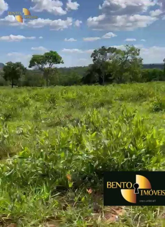 Fazenda à venda de 900 ha em Guiratinga, MT, Brasil