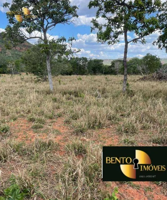 Fazenda à venda de 900 ha em Guiratinga, MT, Brasil