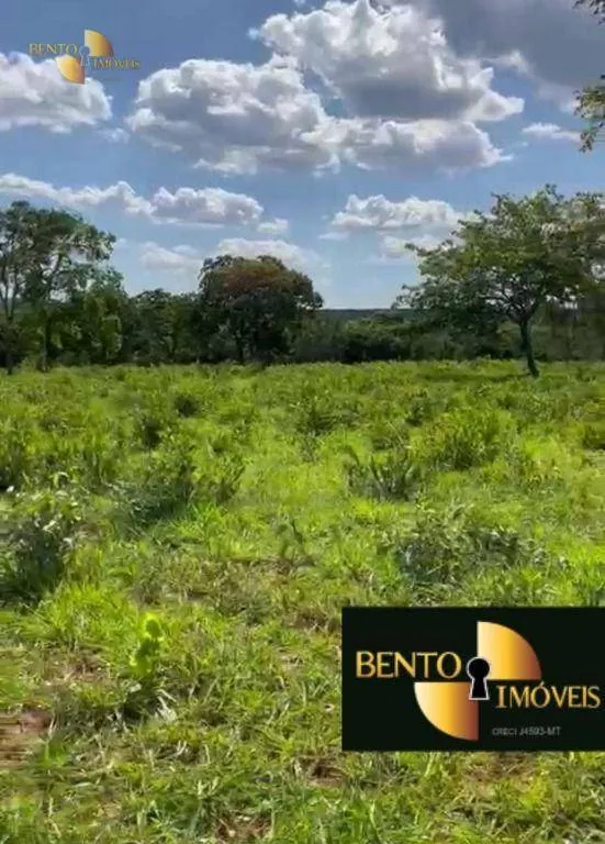 Fazenda à venda de 900 ha em Guiratinga, MT, Brasil