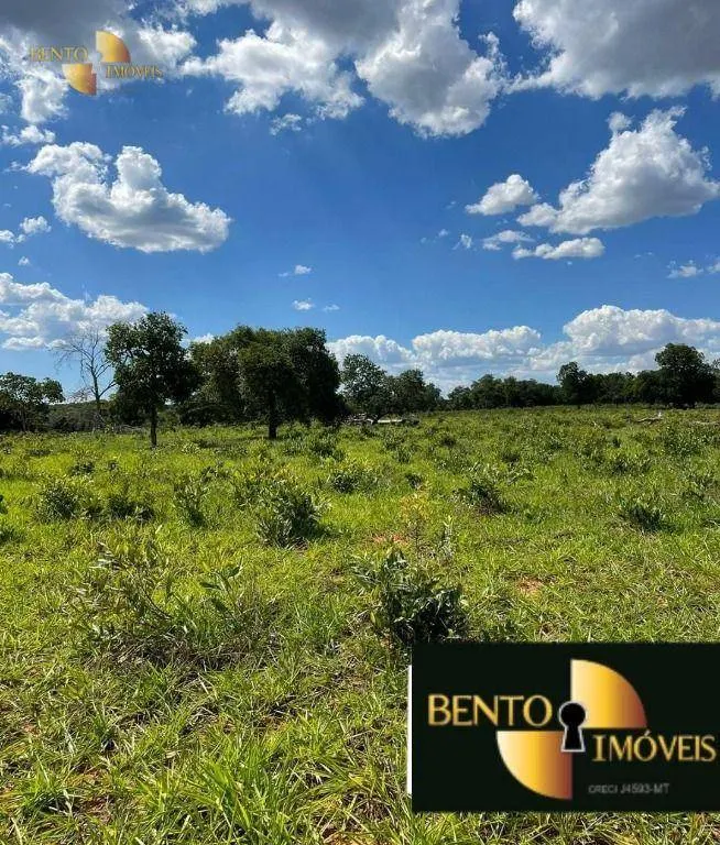 Fazenda à venda de 900 ha em Guiratinga, MT, Brasil