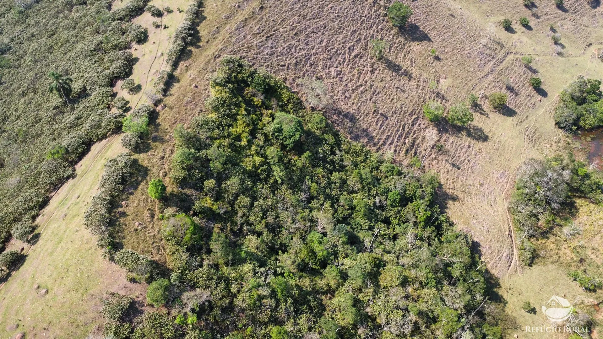 Small farm for sale of 22 acres in Igaratá, SP, Brazil