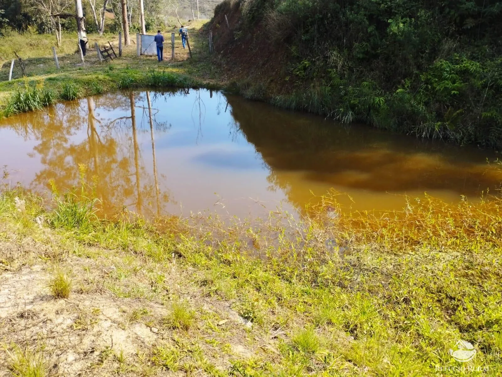 Small farm for sale of 22 acres in Igaratá, SP, Brazil