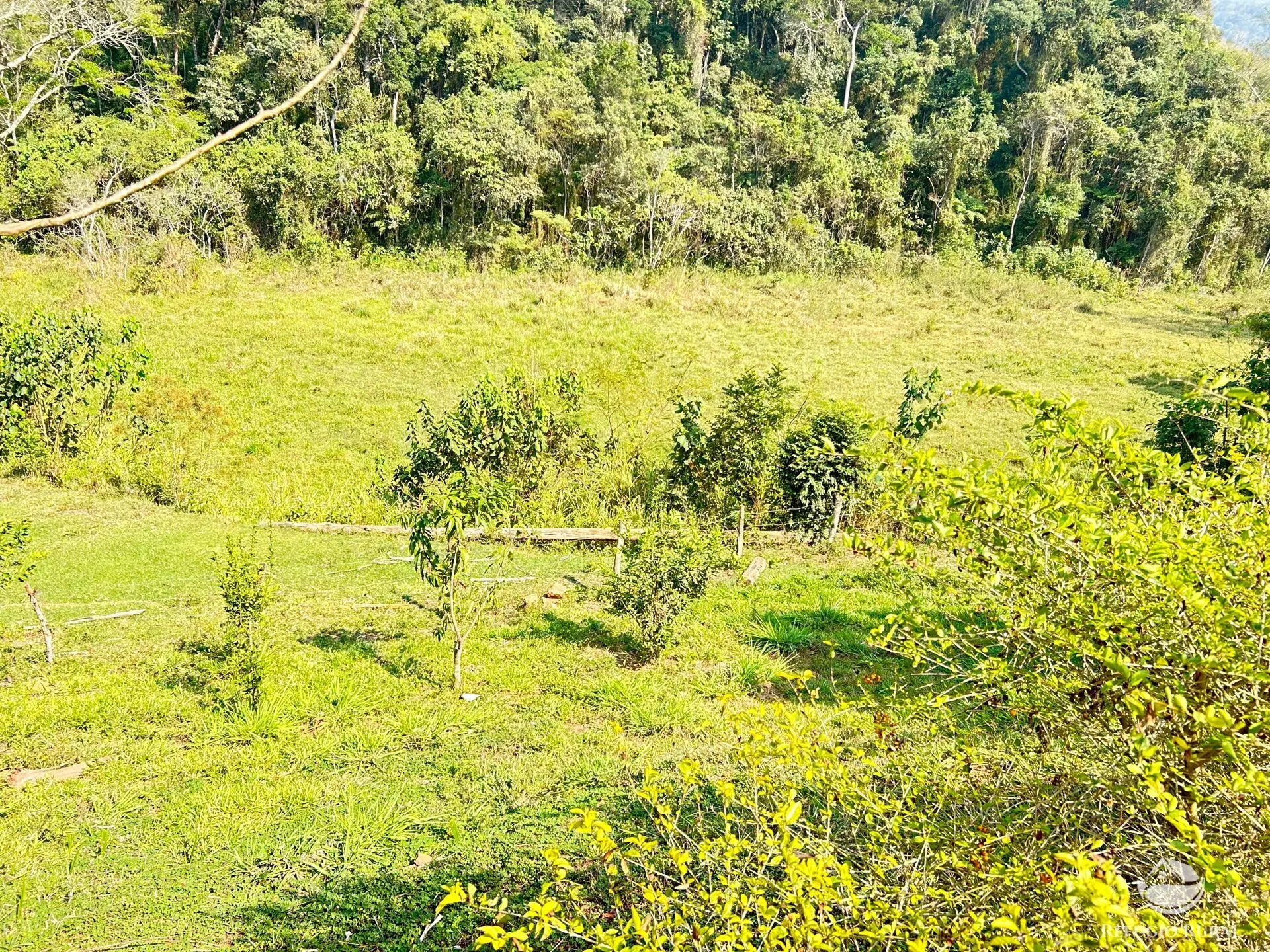 Small farm for sale of 22 acres in Igaratá, SP, Brazil