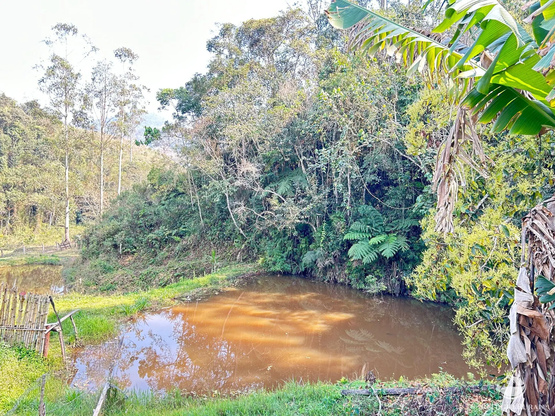 Small farm for sale of 22 acres in Igaratá, SP, Brazil