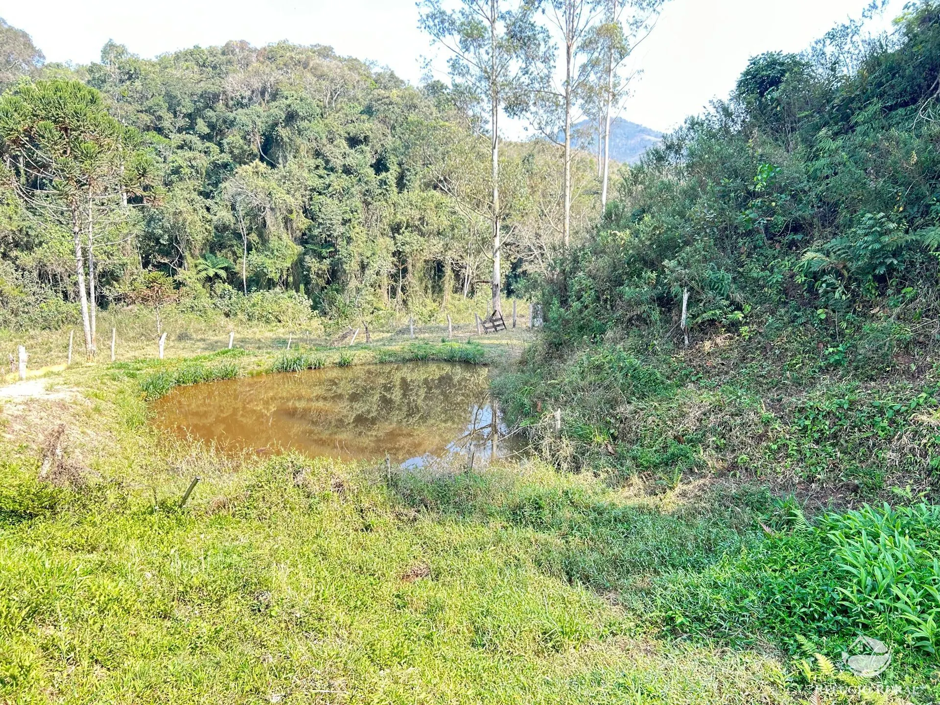 Small farm for sale of 22 acres in Igaratá, SP, Brazil