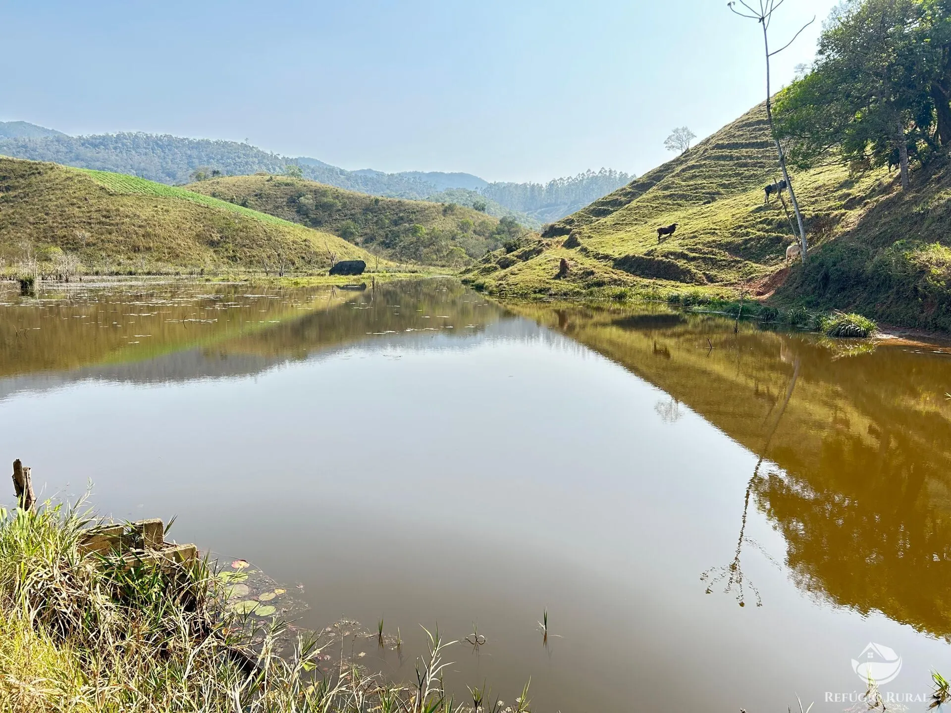 Small farm for sale of 22 acres in Igaratá, SP, Brazil