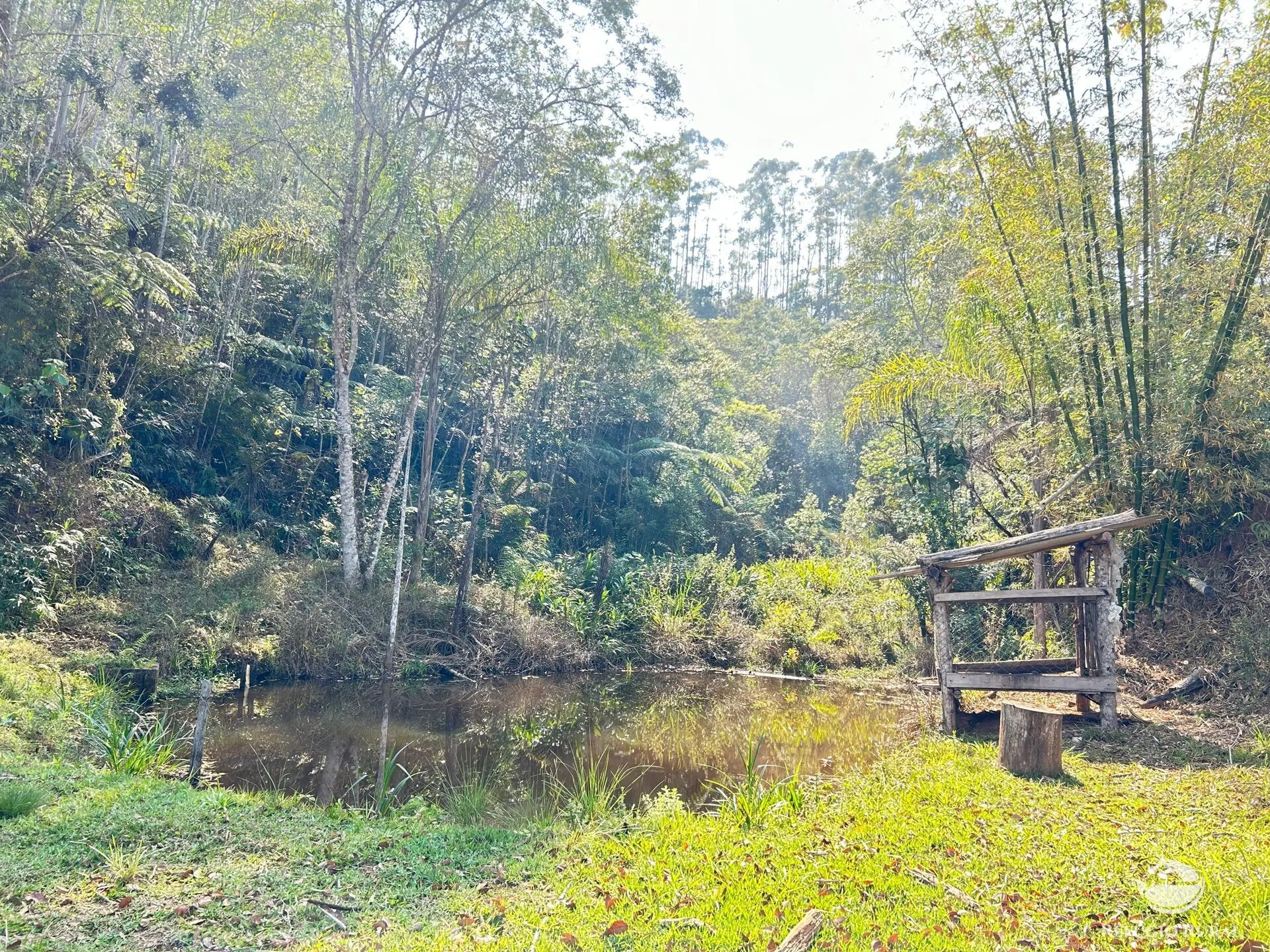 Small farm for sale of 22 acres in Igaratá, SP, Brazil