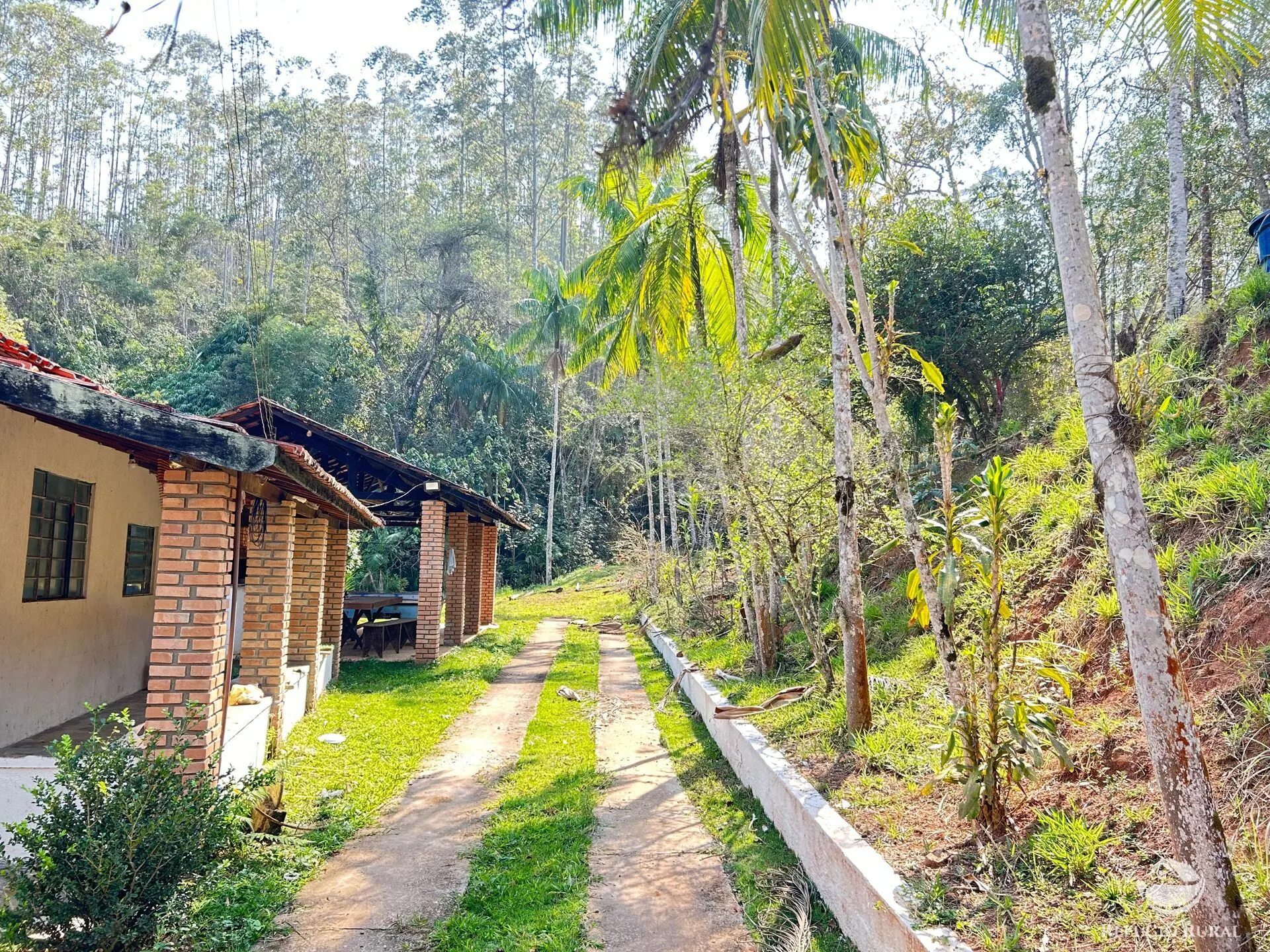 Small farm for sale of 22 acres in Igaratá, SP, Brazil