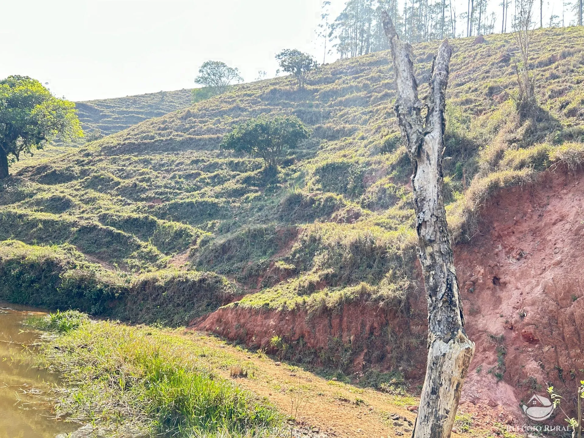 Small farm for sale of 22 acres in Igaratá, SP, Brazil