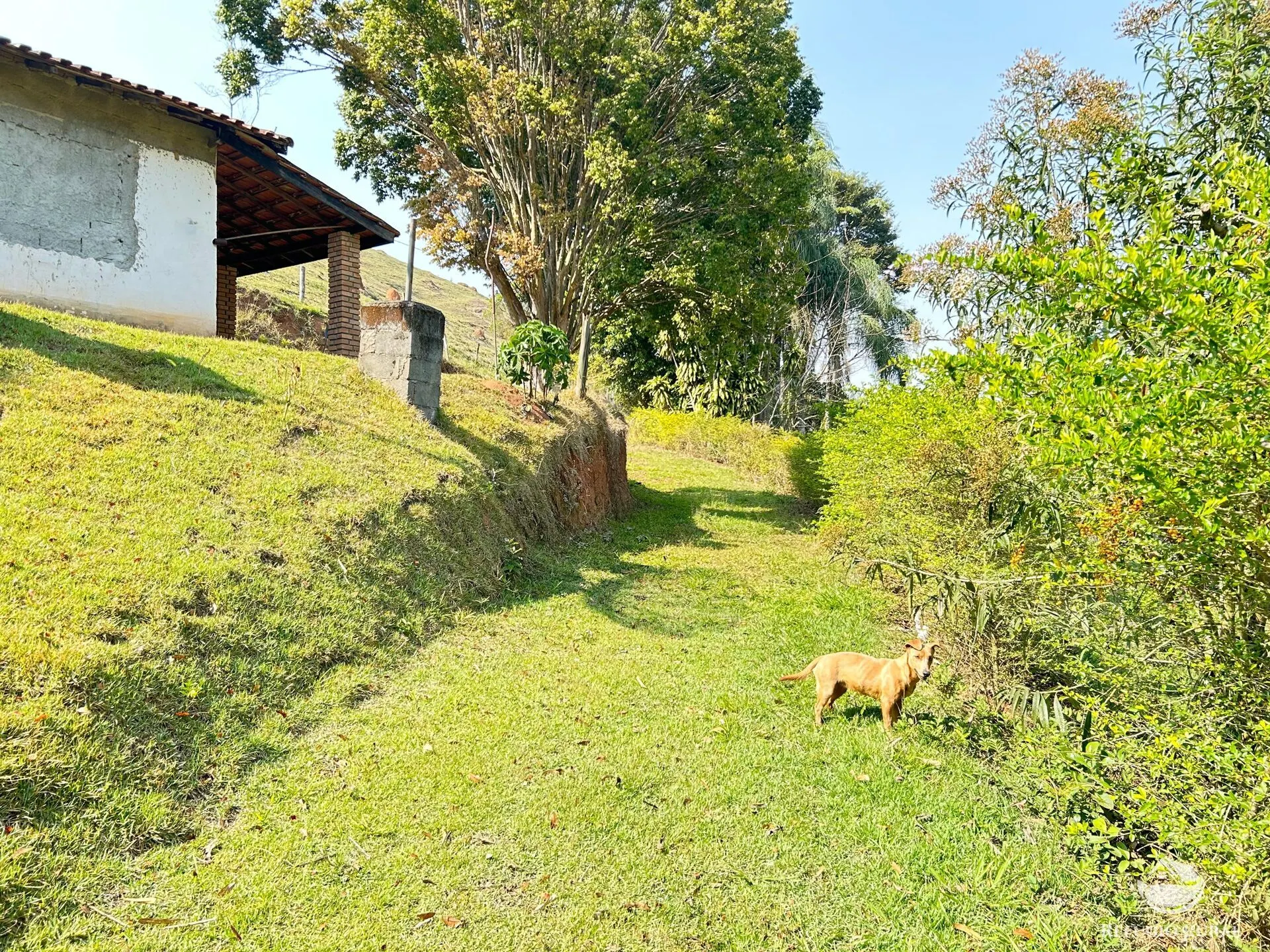 Small farm for sale of 22 acres in Igaratá, SP, Brazil
