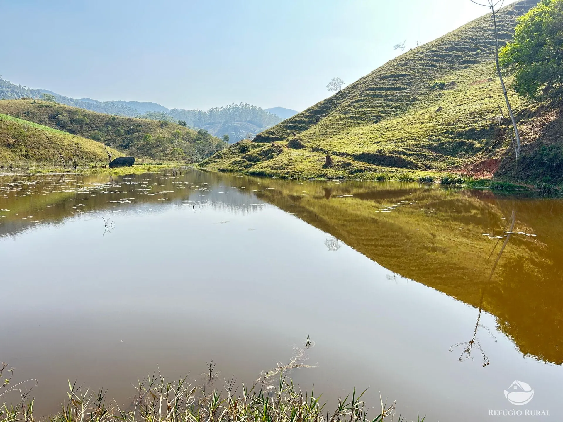 Small farm for sale of 22 acres in Igaratá, SP, Brazil