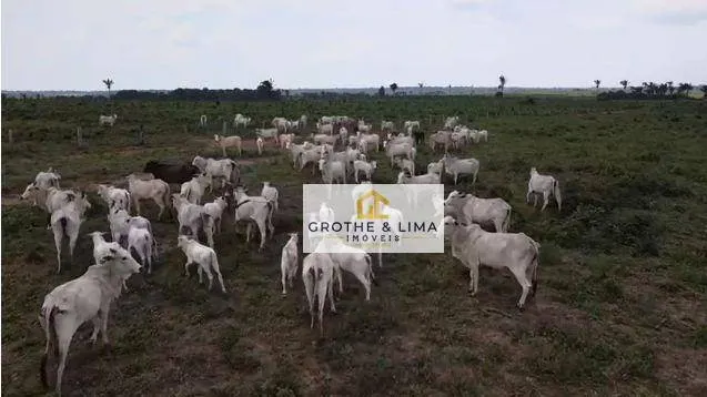 Farm for sale of 3,020 acres in Araguaína, TO, Brazil