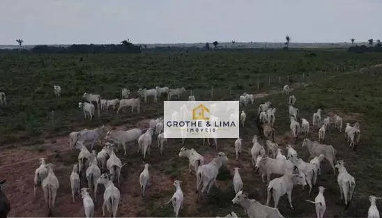Farm for sale of 3,020 acres in Araguaína, TO, Brazil