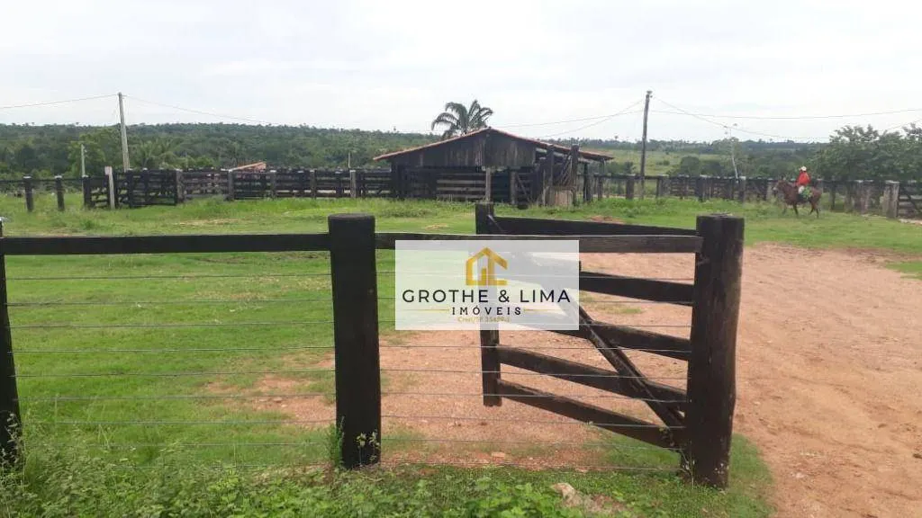 Farm for sale of 3,020 acres in Araguaína, TO, Brazil