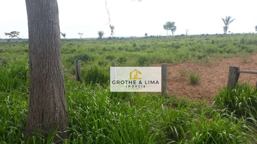 Farm for sale of 3,020 acres in Araguaína, TO, Brazil
