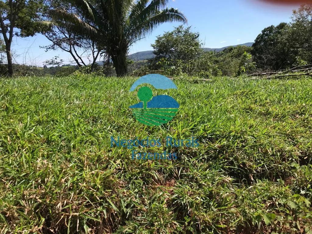 Fazenda à venda de 145 ha em Formoso, GO, Brasil