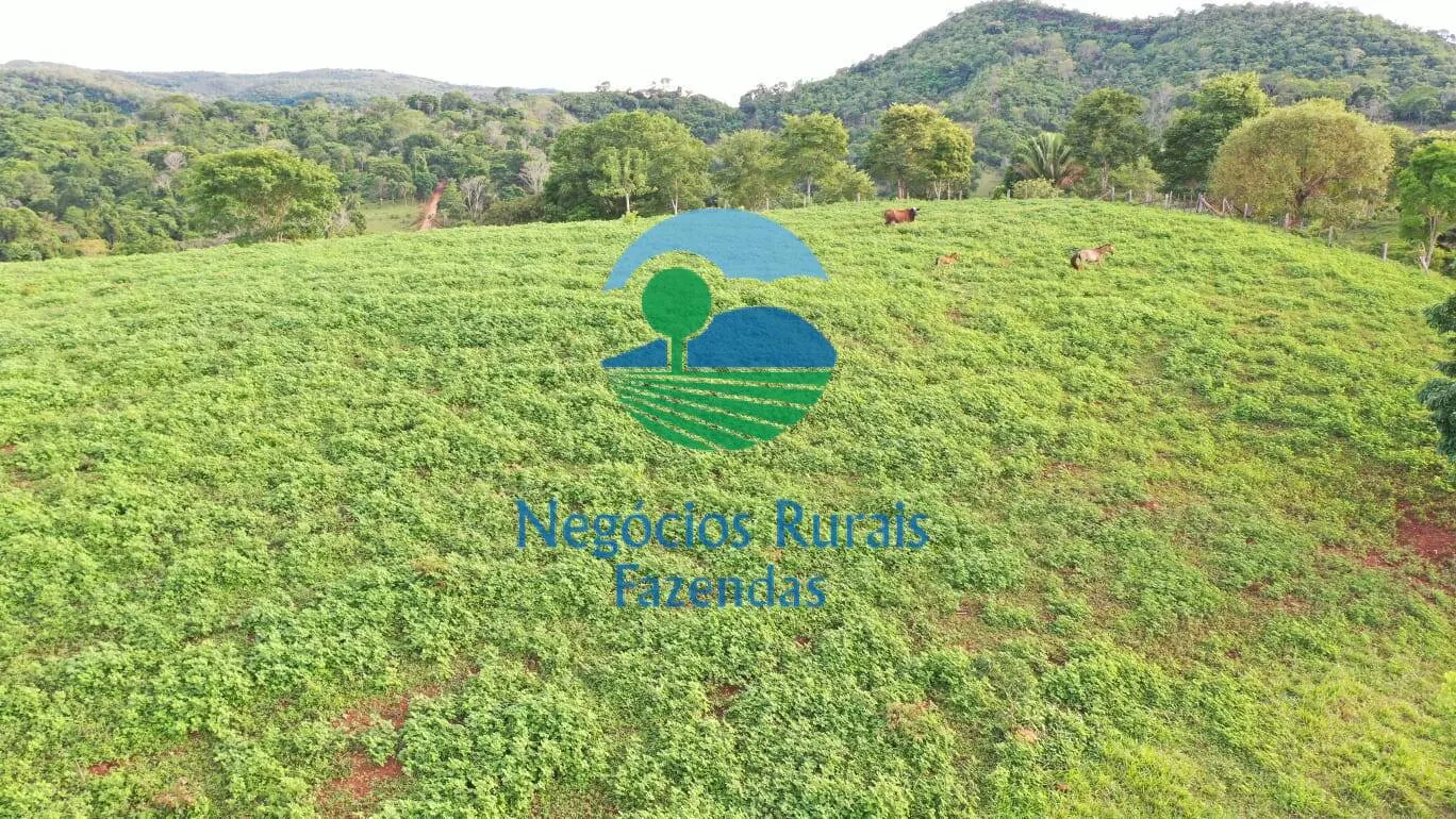 Fazenda à venda de 145 ha em Formoso, GO, Brasil