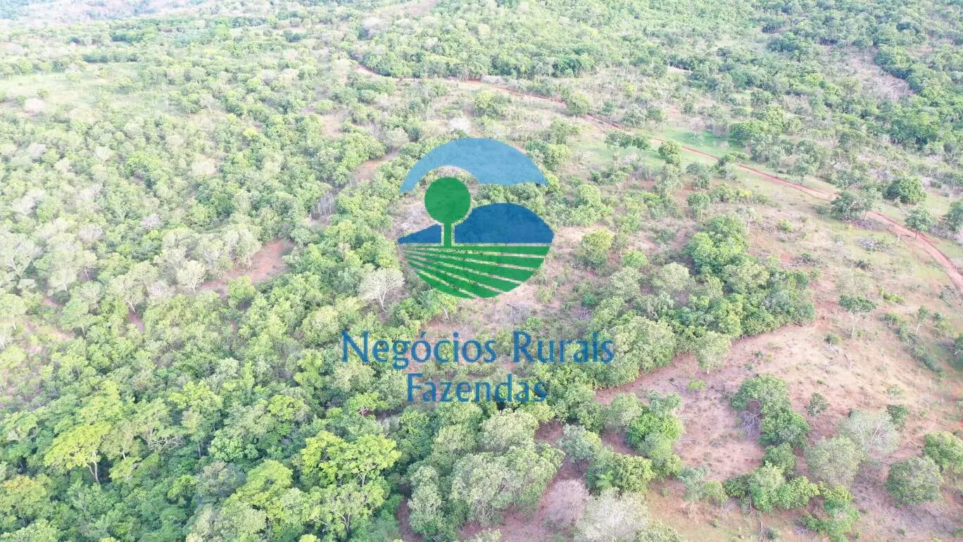 Fazenda à venda de 145 ha em Formoso, GO, Brasil