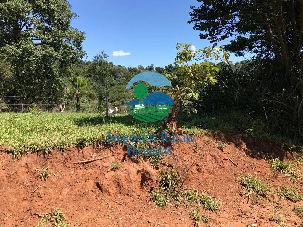 Fazenda à venda de 145 ha em Formoso, GO, Brasil
