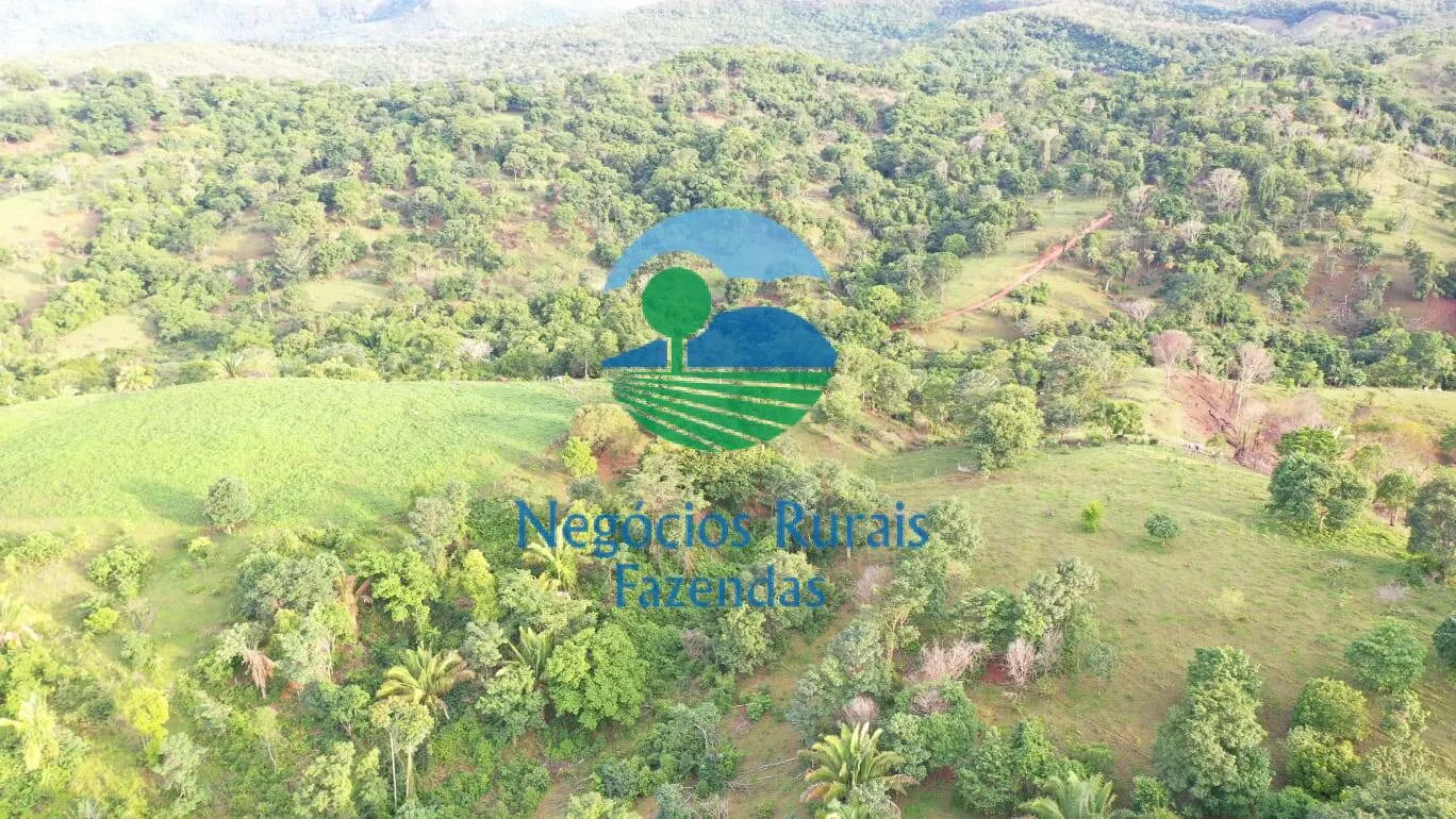 Fazenda à venda de 145 ha em Formoso, GO, Brasil
