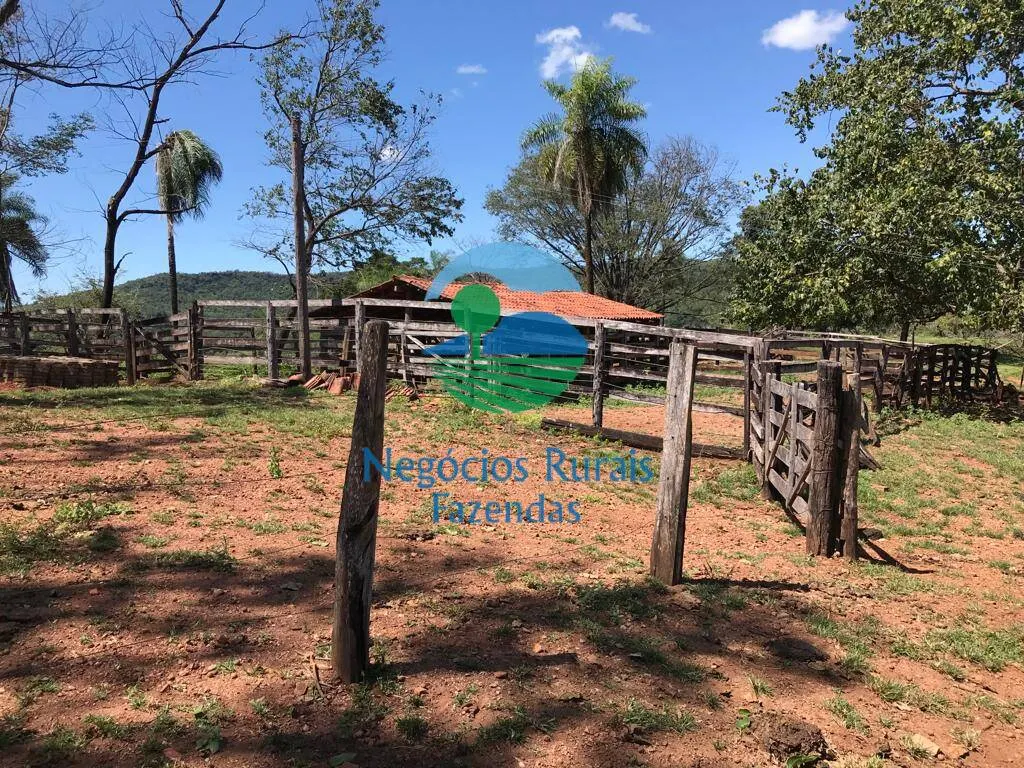 Fazenda à venda de 145 ha em Formoso, GO, Brasil
