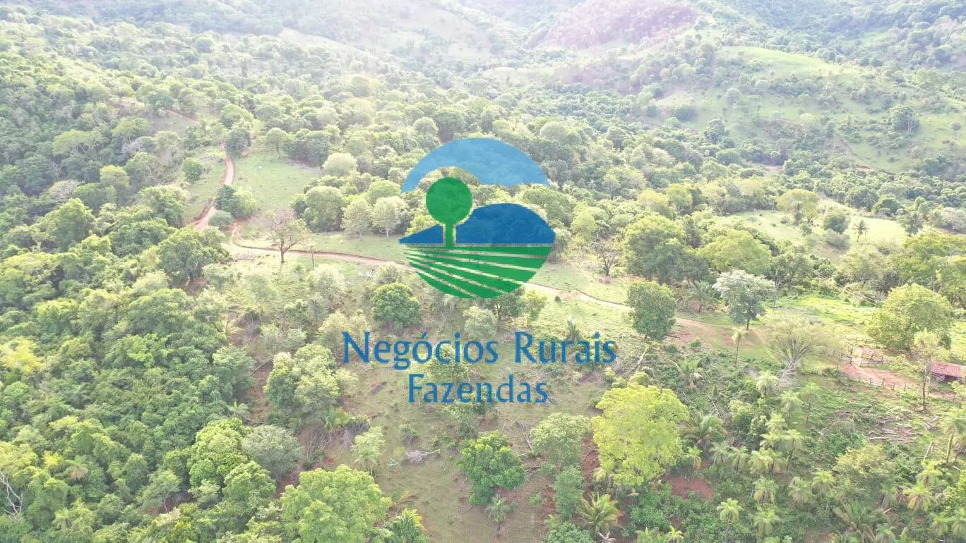Fazenda à venda de 145 ha em Formoso, GO, Brasil