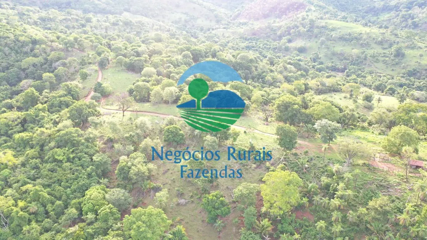 Fazenda à venda de 145 ha em Formoso, GO, Brasil