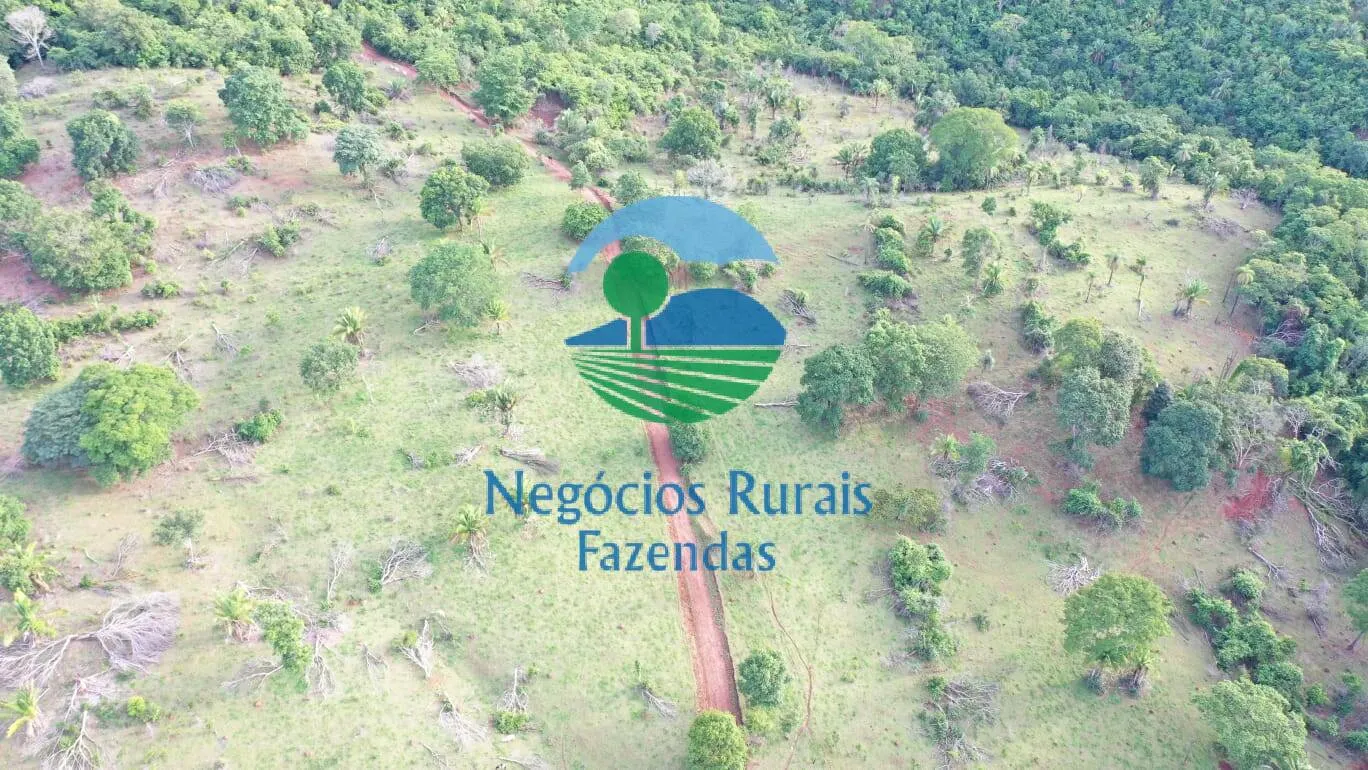 Fazenda à venda de 145 ha em Formoso, GO, Brasil