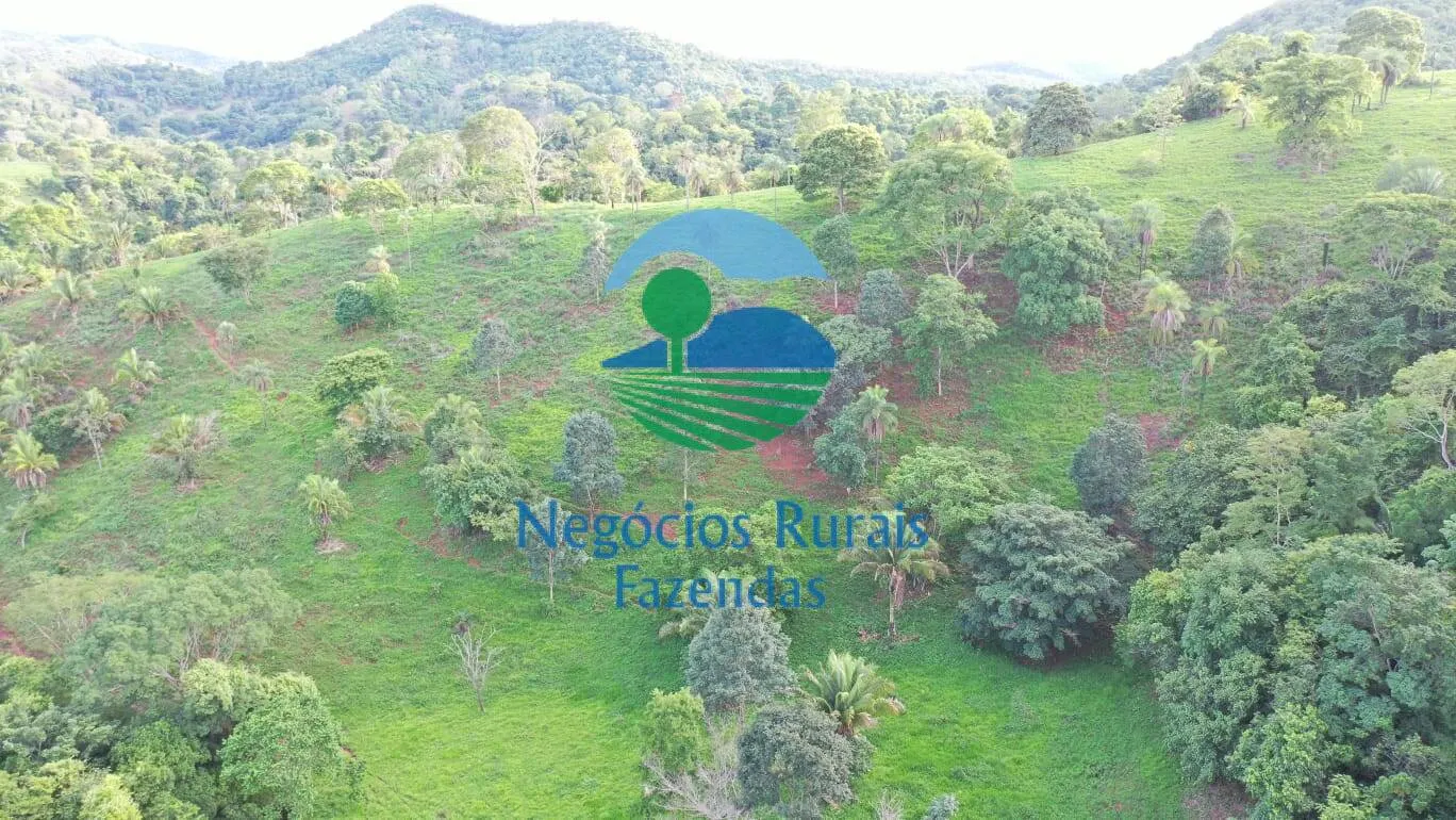 Fazenda à venda de 145 ha em Formoso, GO, Brasil
